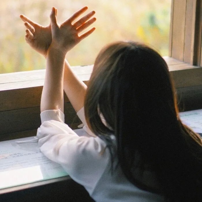 红鹰战士：天空的守护者